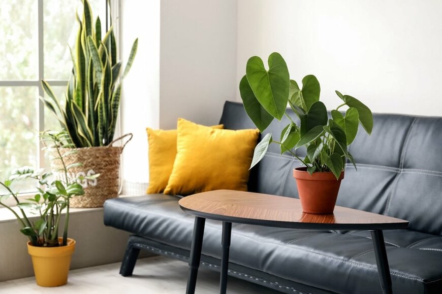 窓辺やテーブルの上に観葉植物が飾られたリビング