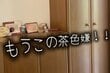 【築30年中古戸建DIY】垢抜けない茶色の靴箱→スタイリッシュな「グレー調の靴箱」に大変身