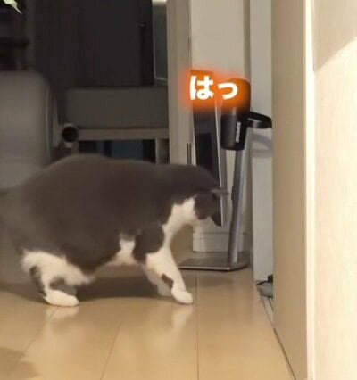 「よそ見」をするまるちゃん