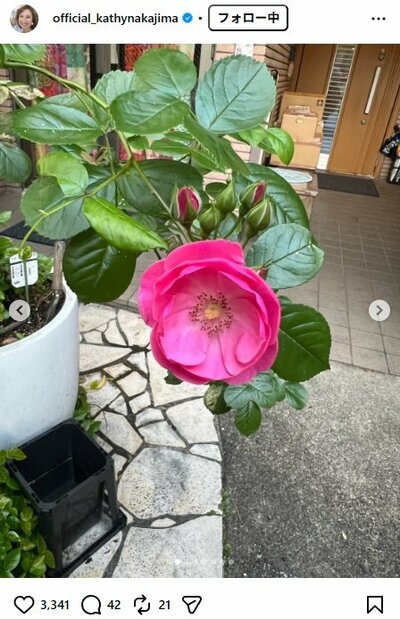 キャシー中島のInstagram投稿