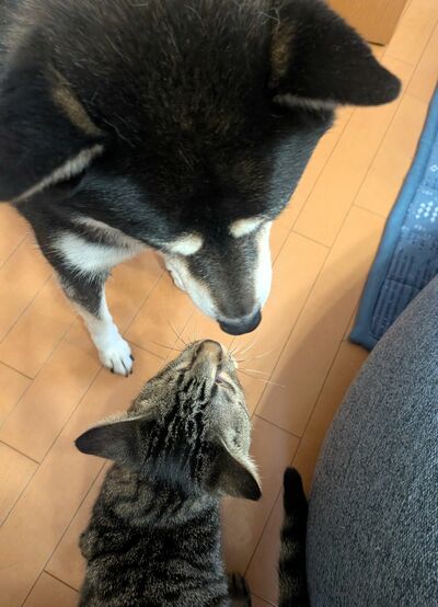 徐々に打ち解けている最中