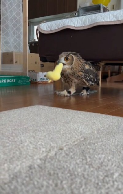 投稿動画のワンシーン