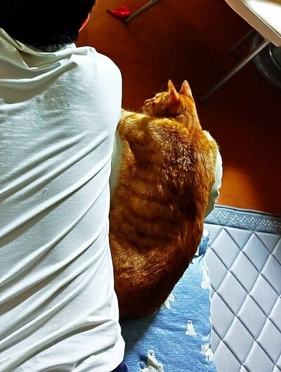 逞しい背中！