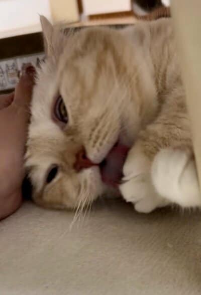 お顔の変化に驚き！