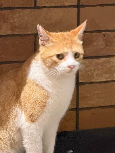 投稿の画像
