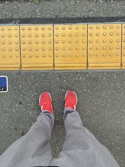 投稿の画像