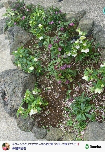 假屋崎省吾の公式ブログ投稿