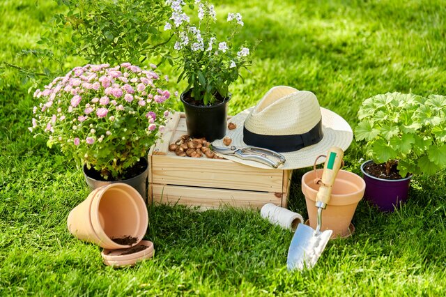 5年間も咲かなかったサツキがついに開花！予想外の結果に「渾身の一輪」「平成のギャルみたい」との声