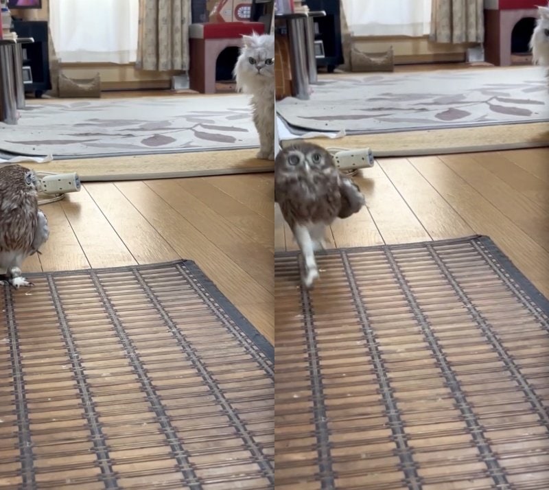 出所：@cr8673.hiro