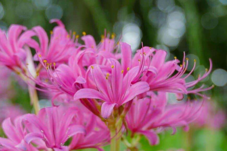 ruscello/shutterstock.com