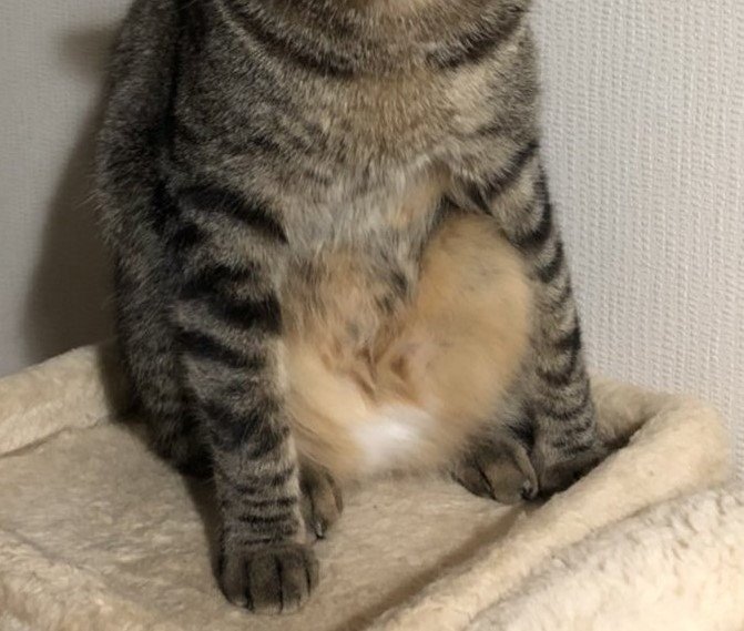 出所：@mero627puri914