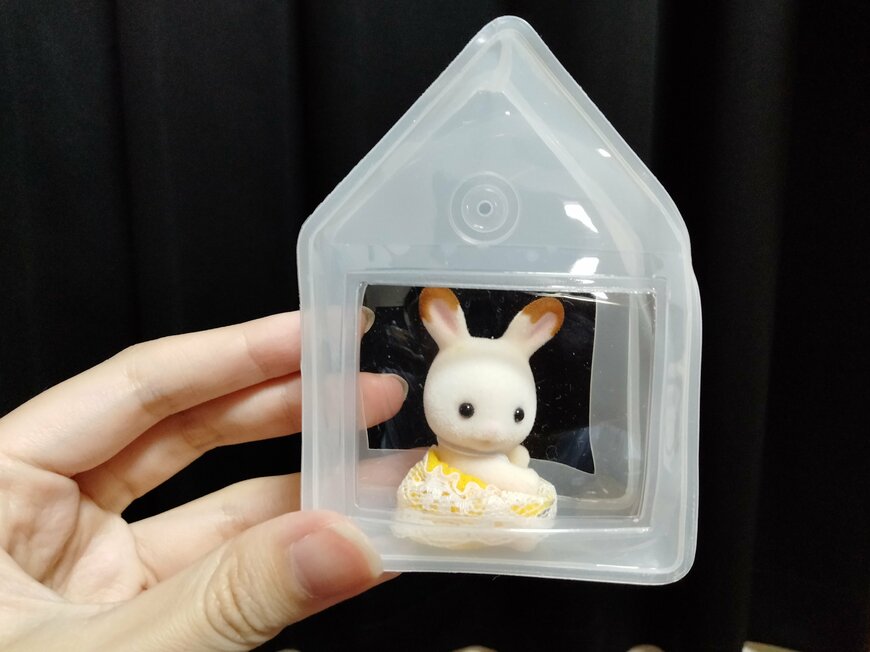 筆者撮影（キャンドゥ、ミニハウスディスプレイ）