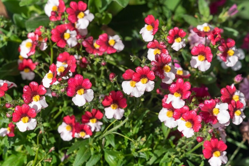 delobol/istockphoto.com