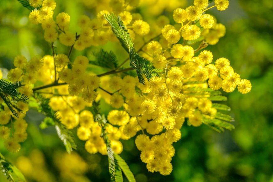 Marina VN/shutterstock.com