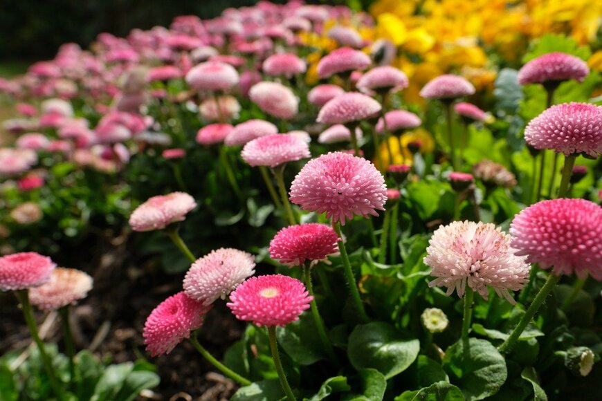 DK Media/istockphoto.com 