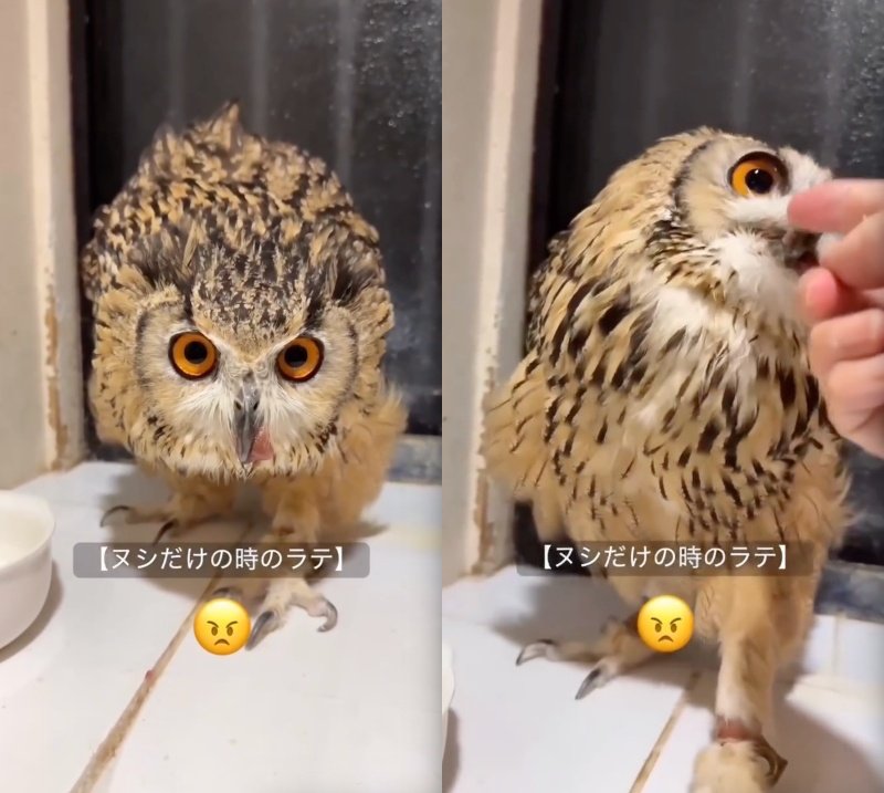 出所：@ba_chantolatte