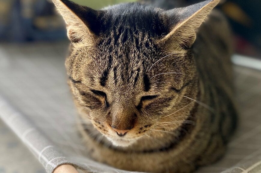 出所：@luna7taka9