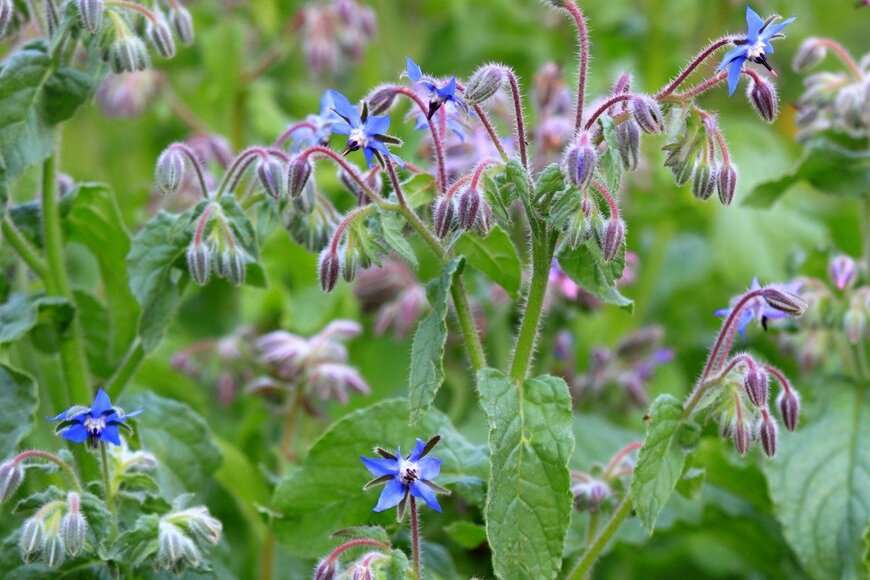 svehlik/istockphoto.com