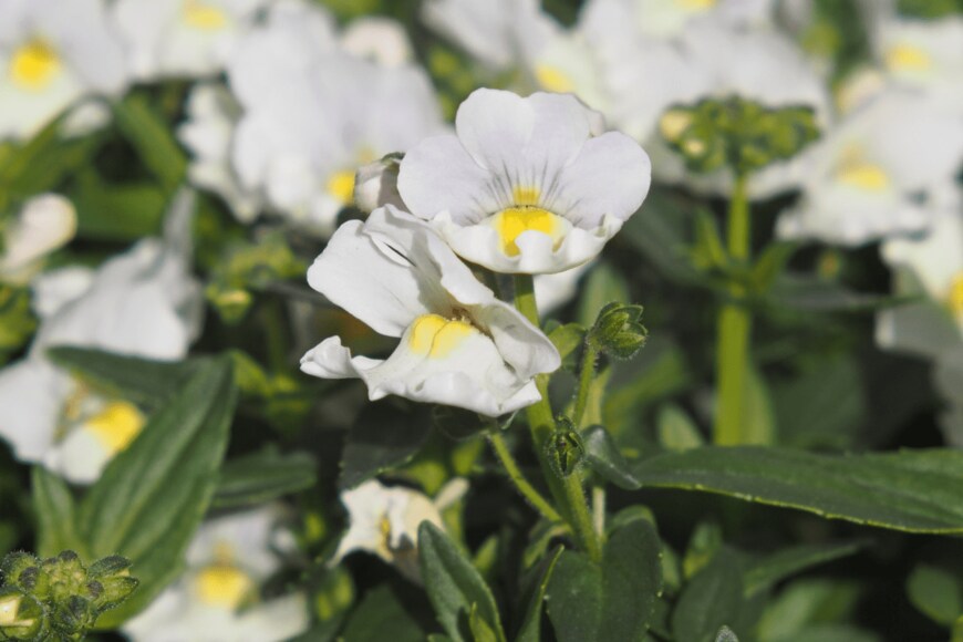 Sungsu Shin/istockphoto.com