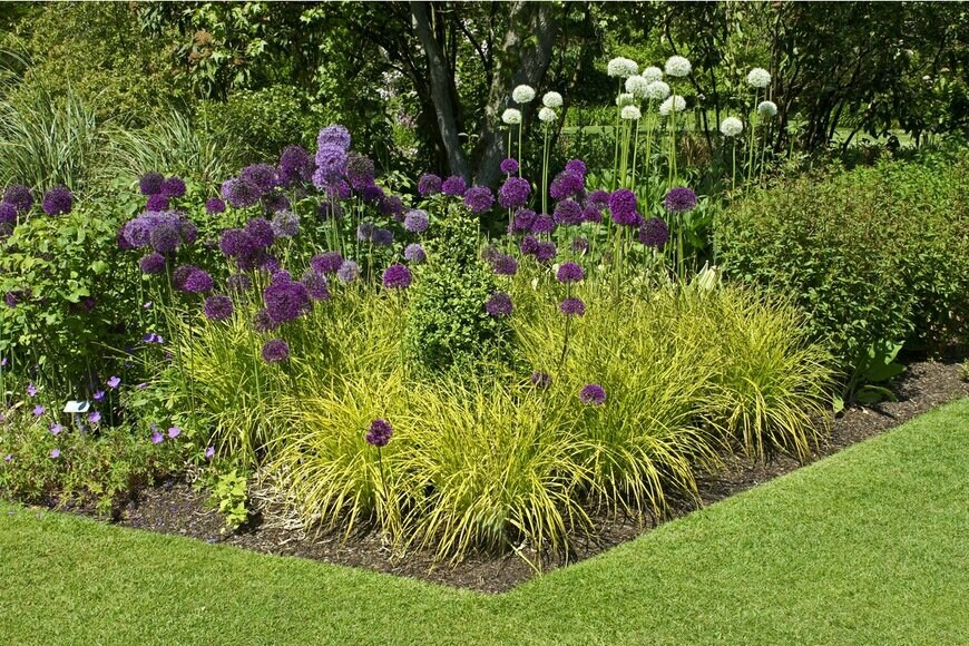 Gardens by Design/Shutterstock.com