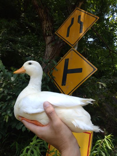 出所：@64pan_4rasu