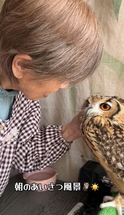 出所：@ba_chantolatte