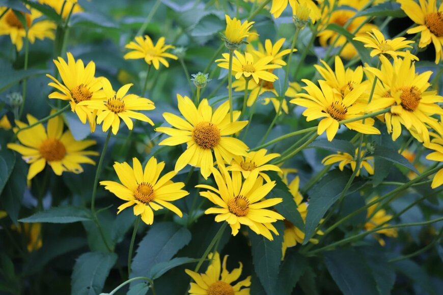 Kabar/shutterstock.com