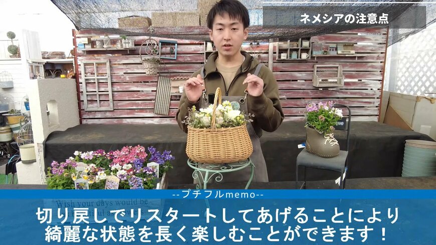 出所：@petit_fleur