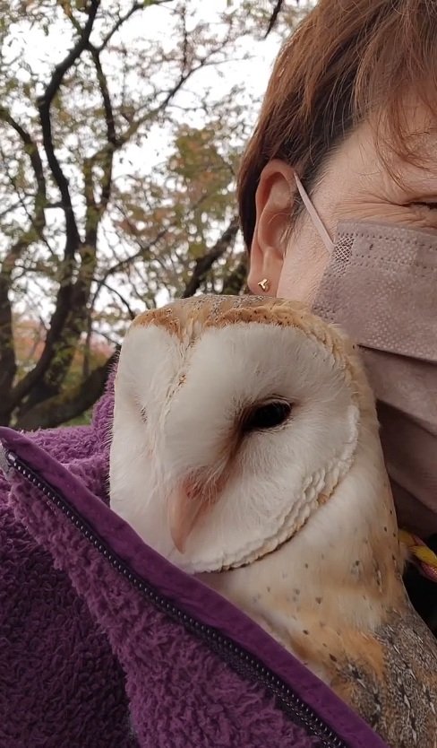 出所：@miki4wan108