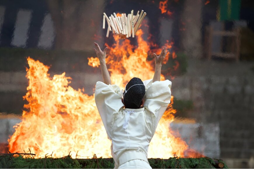 M Andy/shutterstock.com