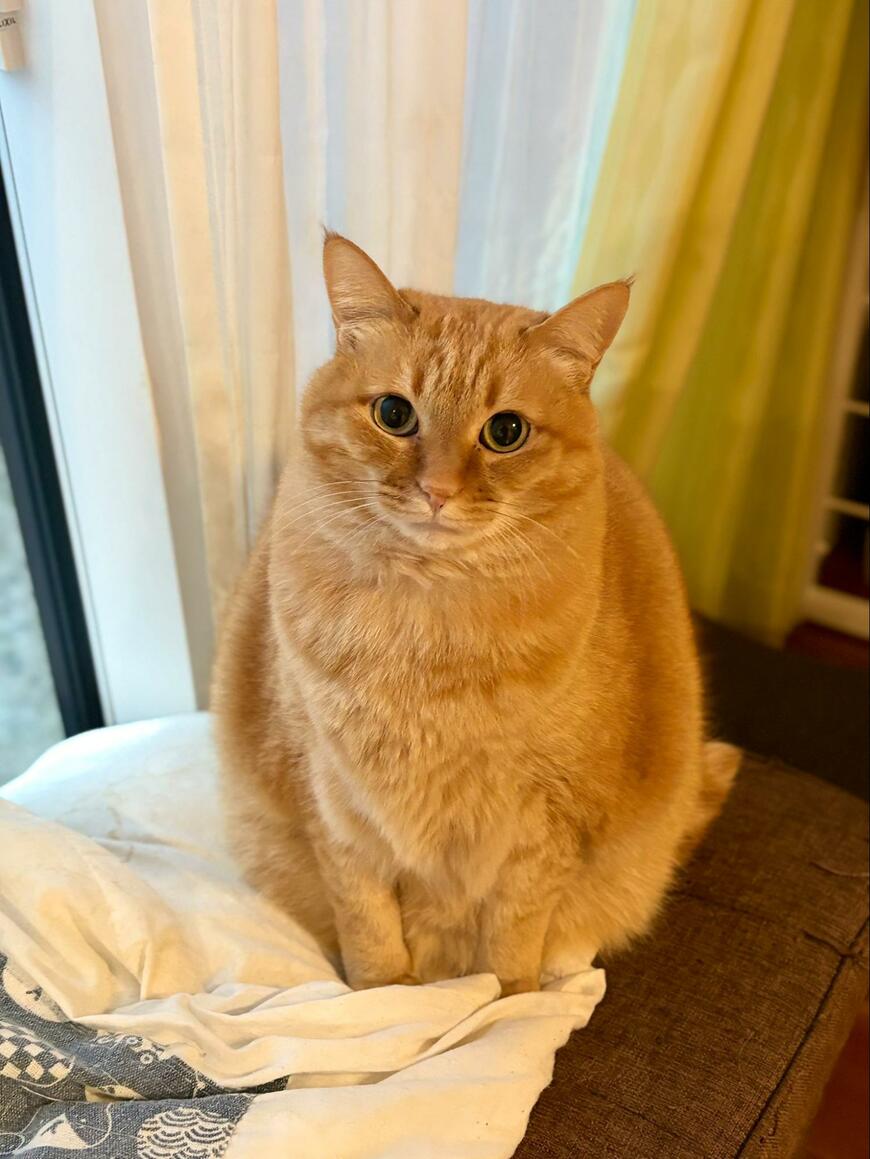 出所：@kagisuzu0531