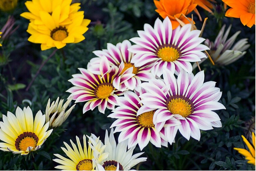 Johnnieshin/istockphoto.com