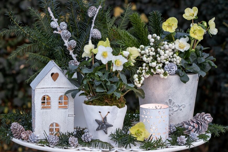 Natalia Greeske/shutterstock.com