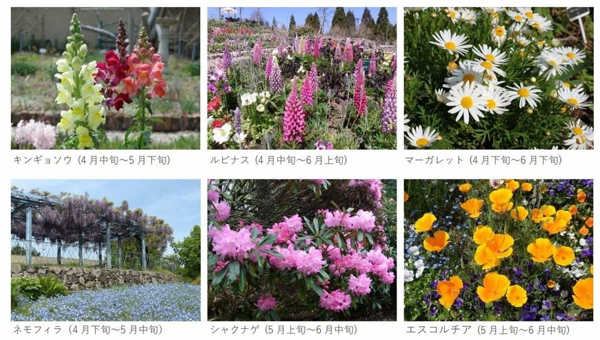 出所：比叡山自動車道株式会社「比叡山頂の“眺望”庭園美術館 ～ガーデンミュージアム比叡～ 4 月 18 日(土) 2026 年度の営業を開始します」