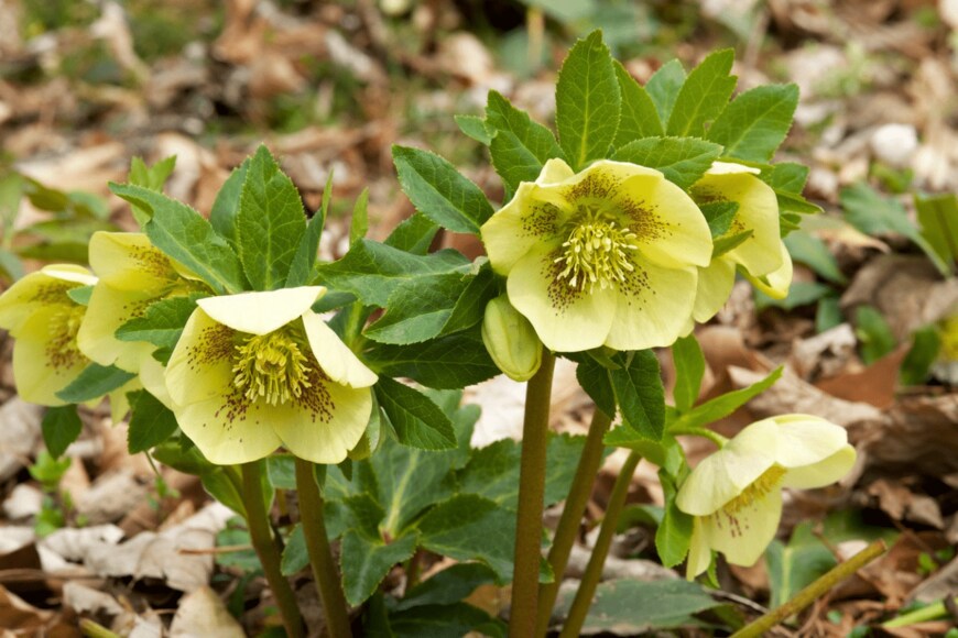 Billy_Fam/istockphoto.com