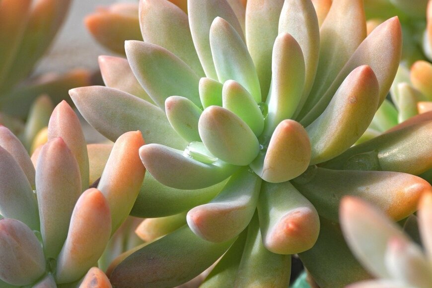 Arthur Prudent/istockphoto.com