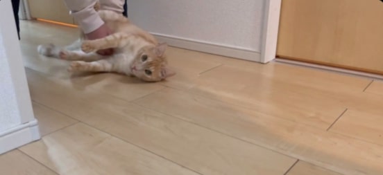 出所：@Teagle_Noir