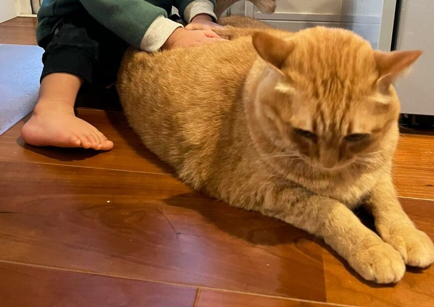 出所：@kagisuzu0531