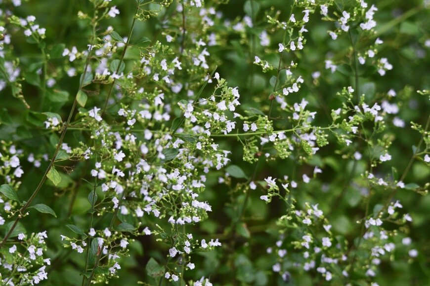 undefined undefined/istockphoto.com