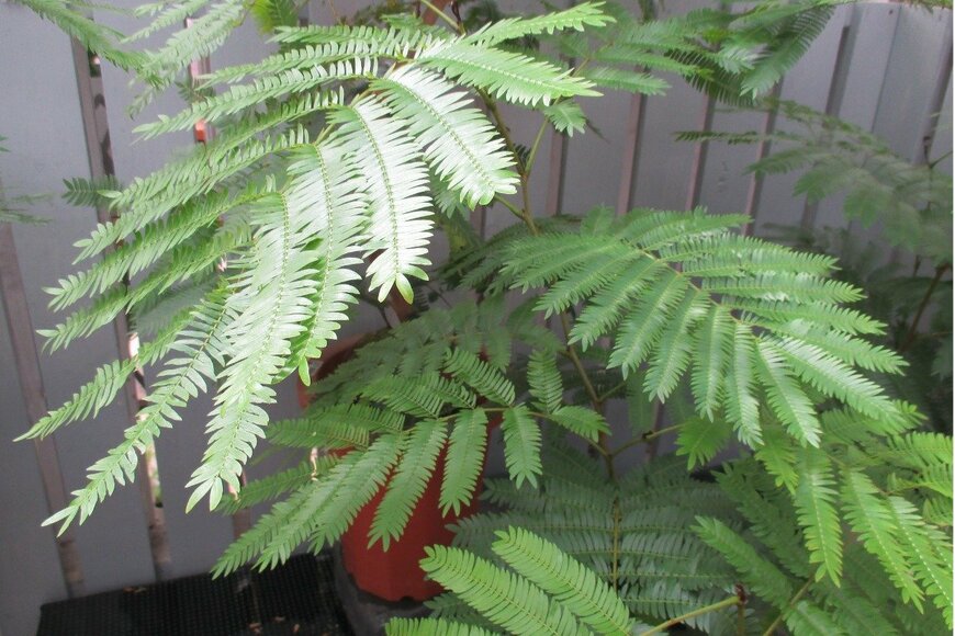 Yasuo Iwami/istockphoto.com