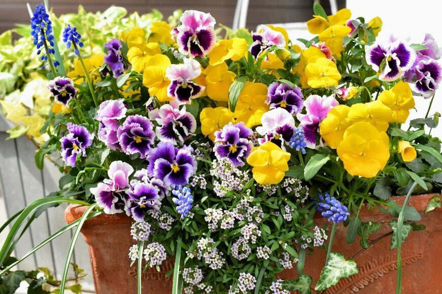 yuri-ss/shutterstock.com