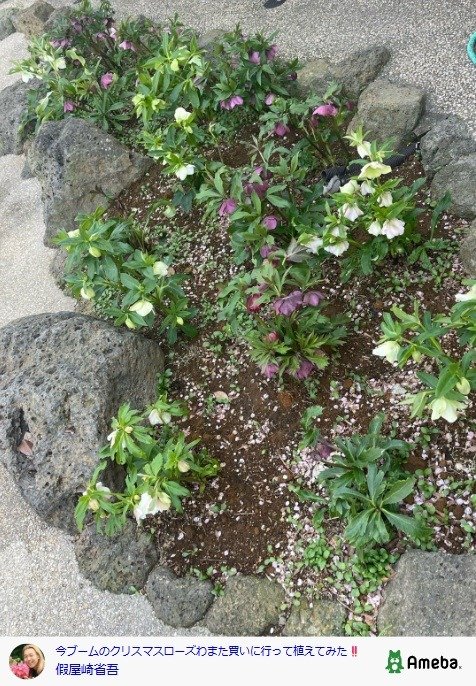 出所：假屋崎省吾の公式ブログ　参照日：2026年3月6日