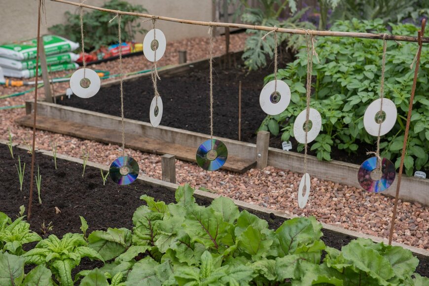 Peter Turner Photography/Shutterstock.com