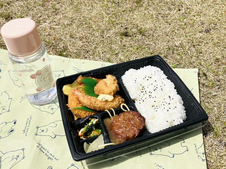 キャンドゥのピクニックグッズ「レジャーシート」