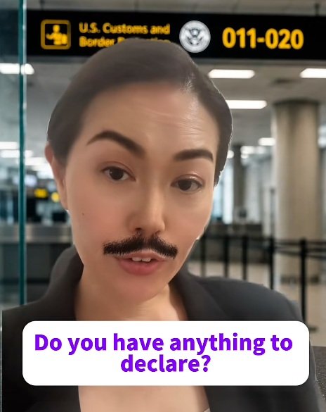 「Do you have anything to declare?」(申告するものはありますか?)