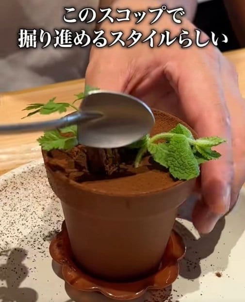 鉢植えティラミスを掘って食べる