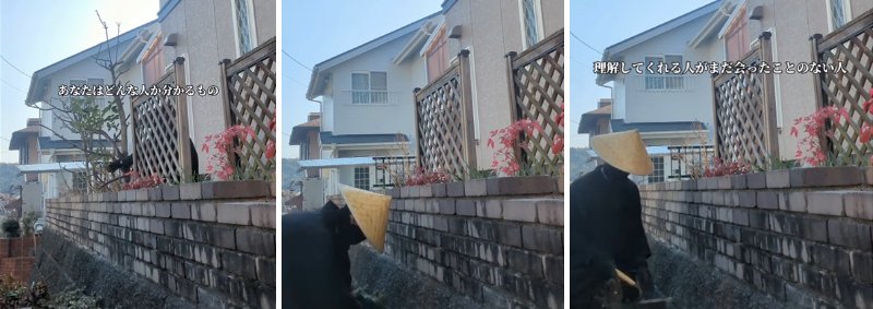 投稿の画像