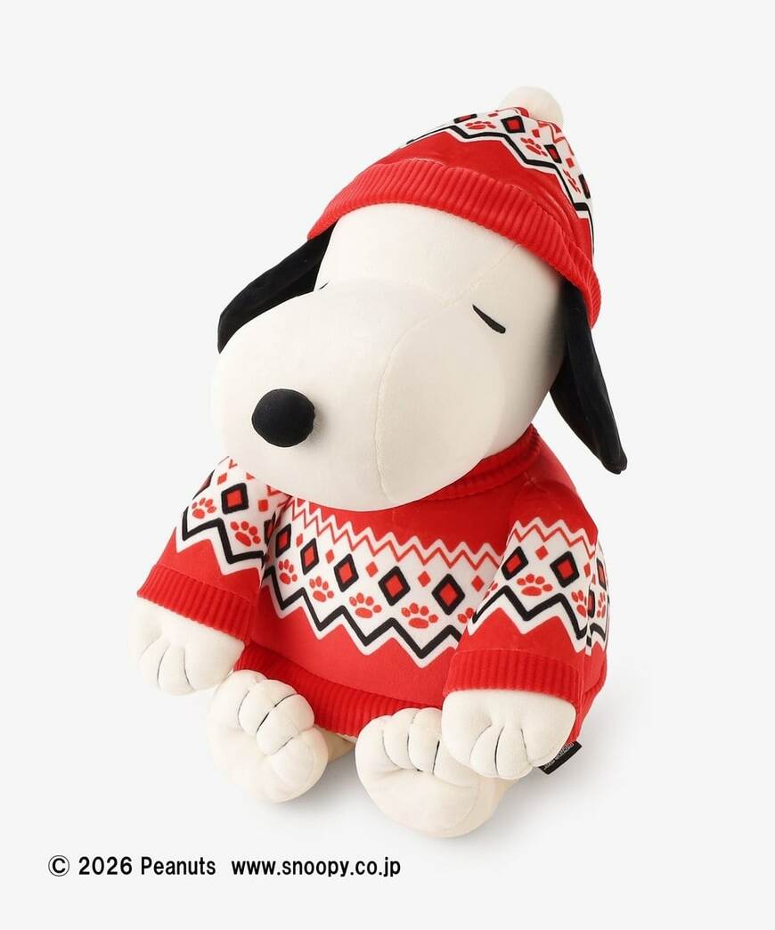 シットアップクッション/PEANUTS