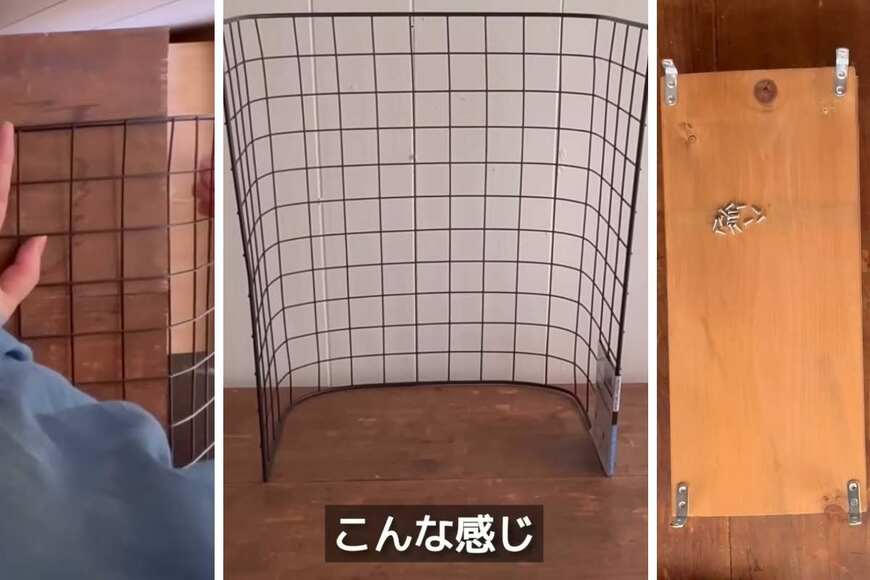 投稿の画像