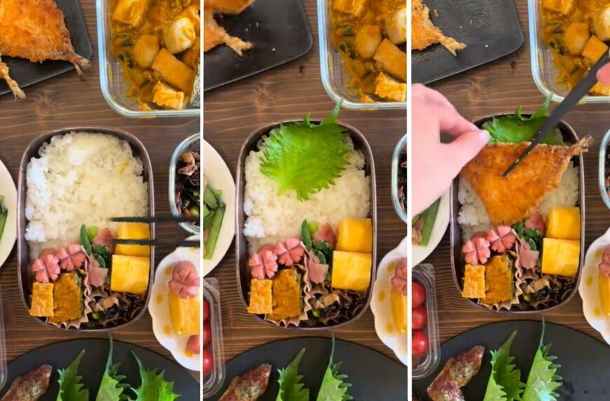 投稿動画のワンシーン